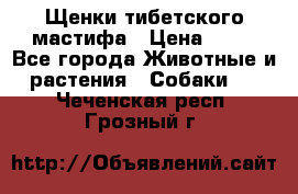 Щенки тибетского мастифа › Цена ­ 80 - Все города Животные и растения » Собаки   . Чеченская респ.,Грозный г.